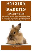 Angora Rabbits For Newbies