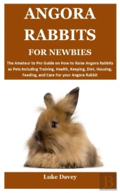 Angora Rabbits For Newbies