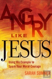 Angry Like Jesus