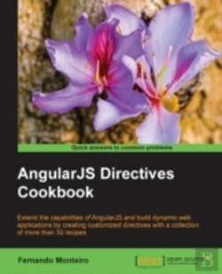 Bertrand.pt - Angularjs Directives Cookbook