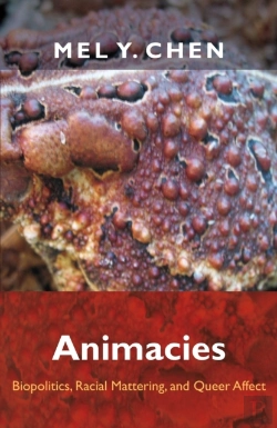 Bertrand.pt - Animacies