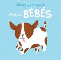 Animais Bebés