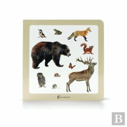 Bertrand.pt - Animais da Floresta 2