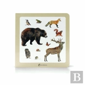 Animais da Floresta 2