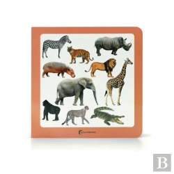 Bertrand.pt - Animais Selvagens 3