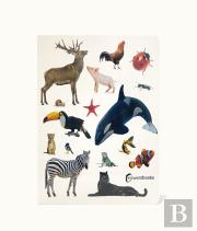 Animais