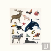 Animais