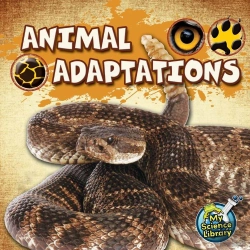 Bertrand.pt - Animal Adaptations