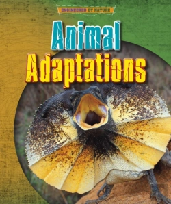 Bertrand.pt - Animal Adaptations