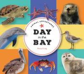 Animal Adventures: Day In The Bay