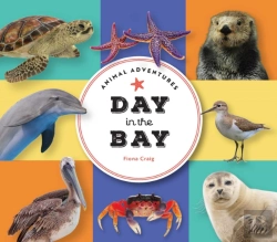 Bertrand.pt - Animal Adventures: Day In The Bay