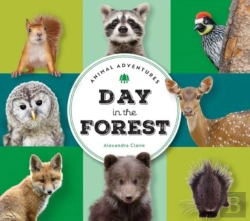 Bertrand.pt - Animal Adventures: Day In The Forest