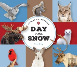 Bertrand.pt - Animal Adventures: Day In The Snow