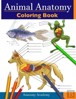 Bertrand.pt - Animal Anatomy Coloring Book