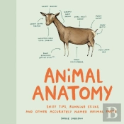 Animal Anatomy