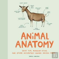 Bertrand.pt - Animal Anatomy