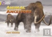 Animal Ancestors