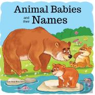 Animal Babies And Their Names