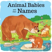 Animal Babies And Their Names