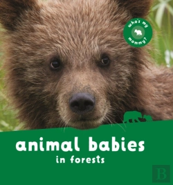 Bertrand.pt - Animal Babies In Forests