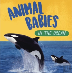 Bertrand.pt - Animal Babies: In The Ocean