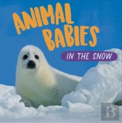 Animal Babies: In The Snow