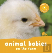 Animal Babies On The Farm