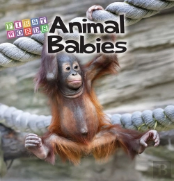 Bertrand.pt - Animal Babies