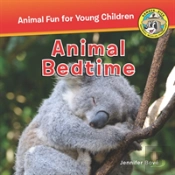 Animal Bedtime