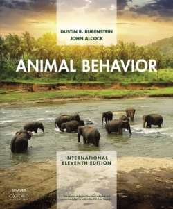 Bertrand.pt - Animal Behavior Xe