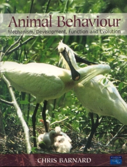 Bertrand.pt - Animal Behaviour
