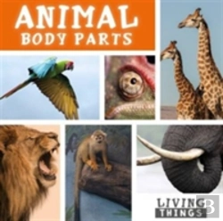 Bertrand.pt - Animal Body Parts