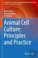 Animal Cell Culture: Principles And Practice