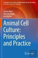 Animal Cell Culture: Principles And Practice