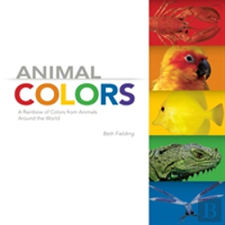 Bertrand.pt - Animal Colors