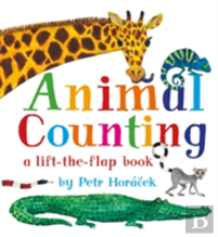 Animal Counting