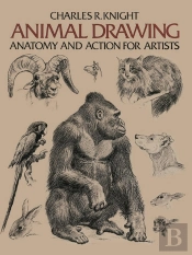 Animal Drawing