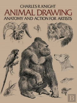 Bertrand.pt - Animal Drawing