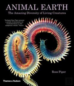 Bertrand.pt - Animal Earth