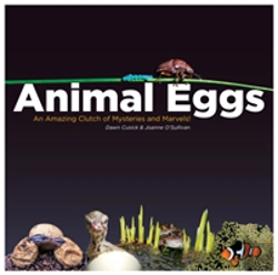 Bertrand.pt - Animal Eggs