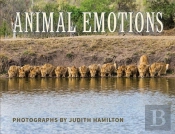 Animal Emotions