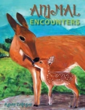Animal Encounters