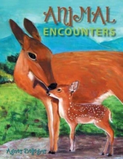 Bertrand.pt - Animal Encounters