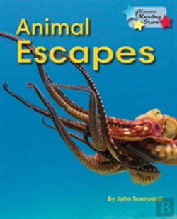 Bertrand.pt - Animal Escapes