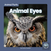 Animal Eyes