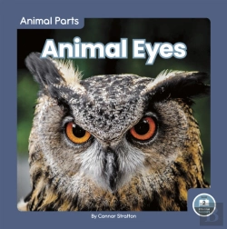 Bertrand.pt - Animal Eyes