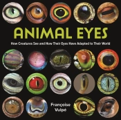 Animal Eyes