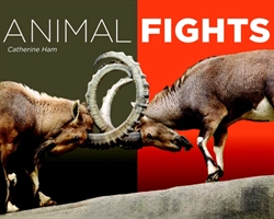 Bertrand.pt - Animal Fights