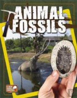 Bertrand.pt - Animal Fossils