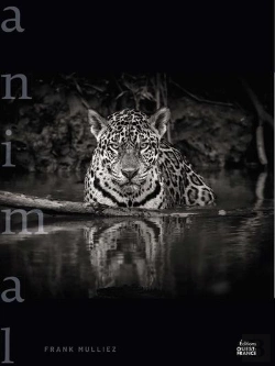 Bertrand.pt - Animal